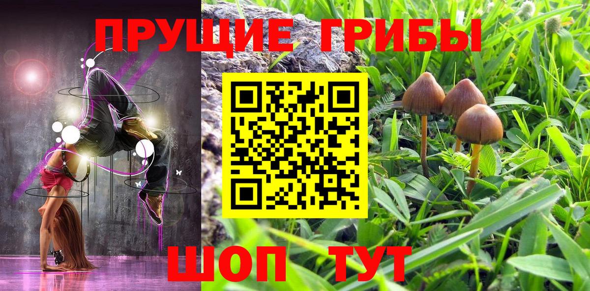 Галлюциногенные грибы GOLDEN TEACHER Казань